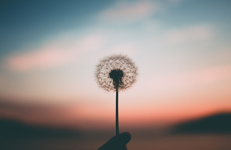 Image by Aleksandr Ledogorov